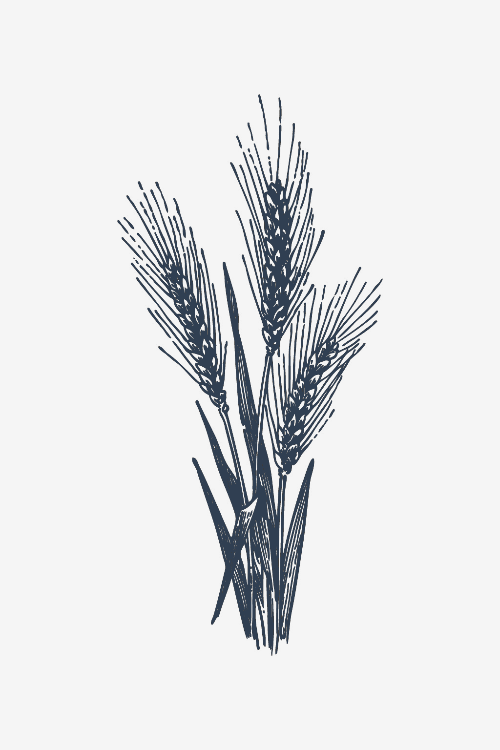 Pšeničné koření