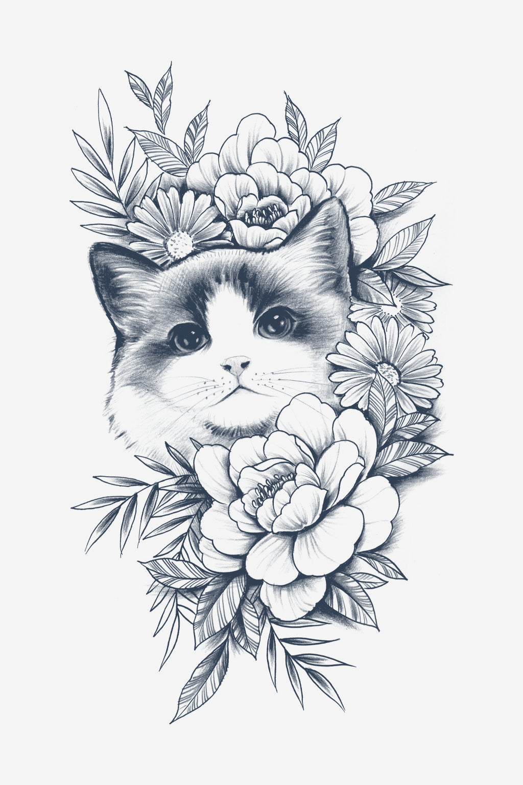 Purrfekce