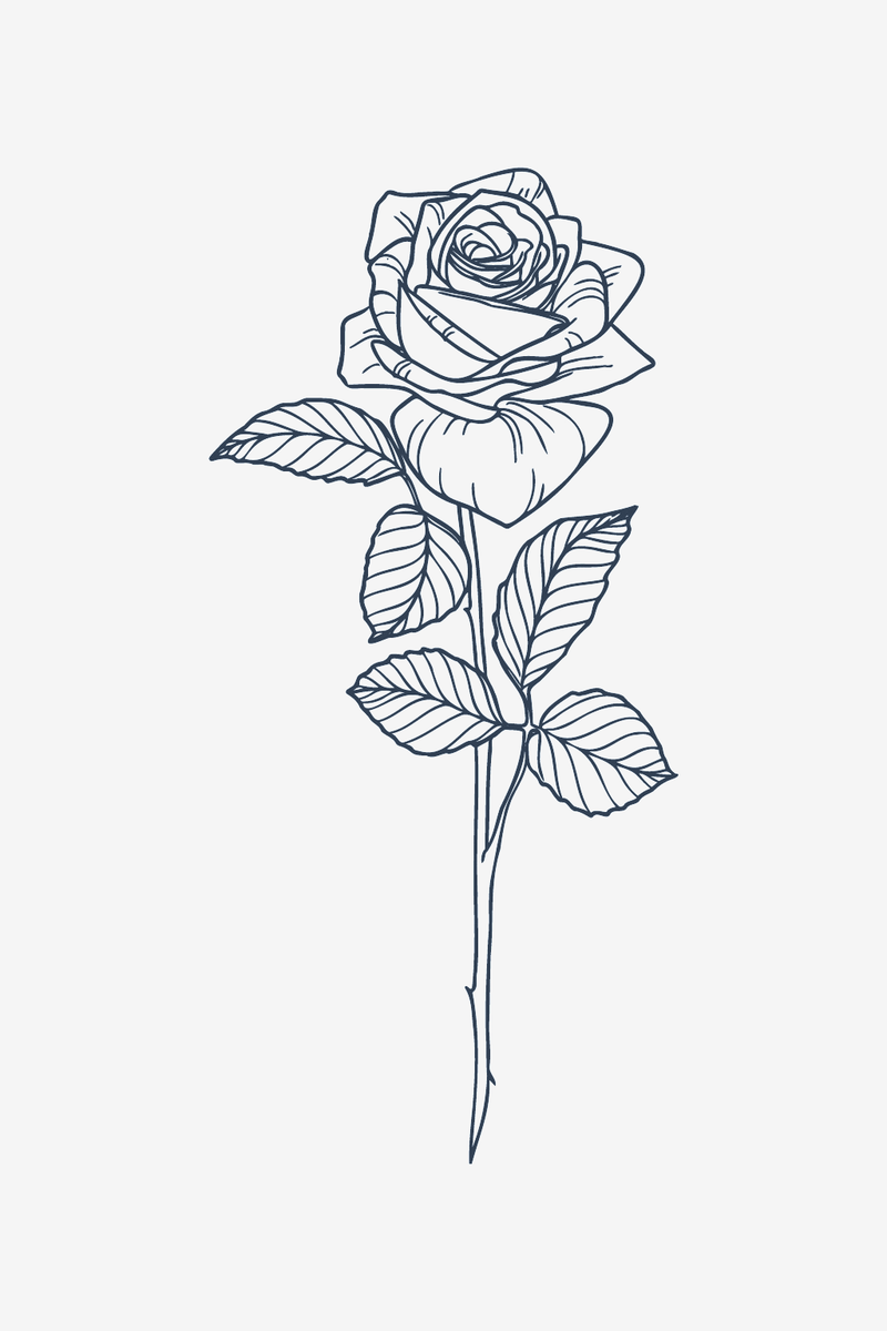 Klasická růže