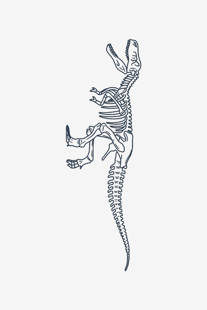 Kostra T-Rex