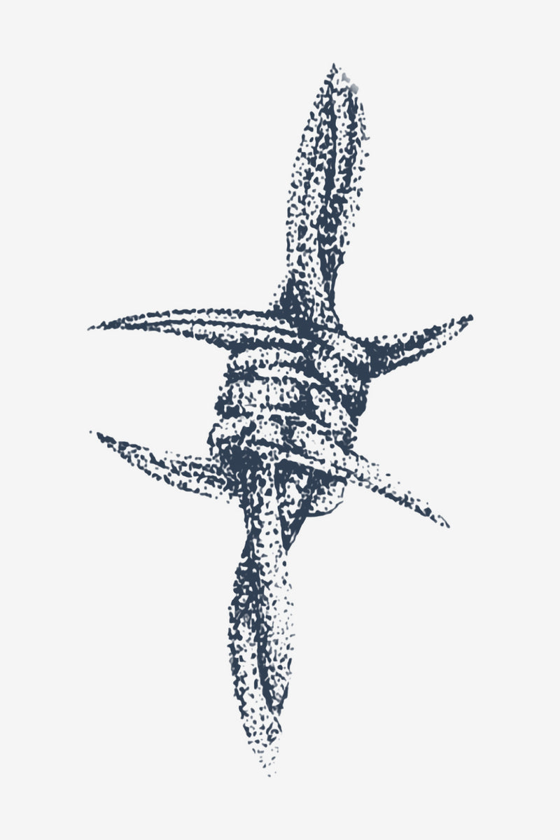Odolnost